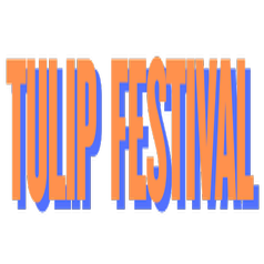 78th Tulip Festival